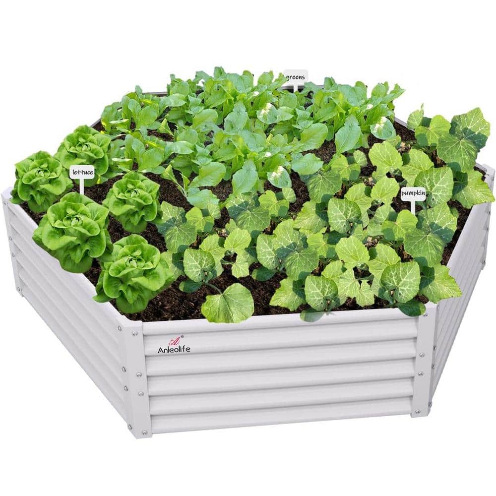 70 in. White Metal Outdoor Hexagon Galvanized Raised Garden Bed for Plantin
