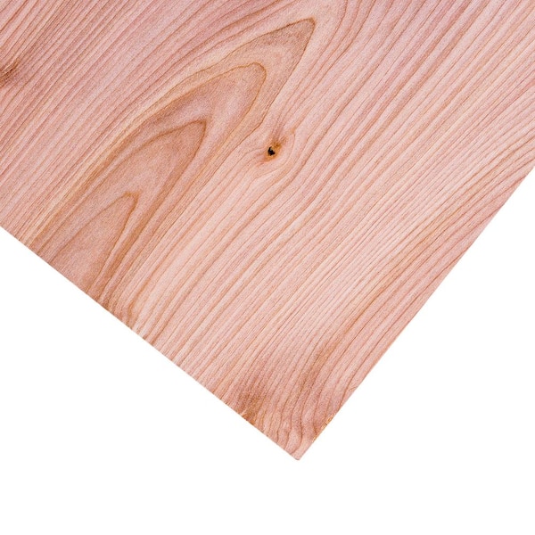 Dimensions Birch Plywood Common 1 4 In X 2 Ft Actual 0 195 23 75 47 225449 The Home Depot Dimensions Birch Plywood Common 1 4