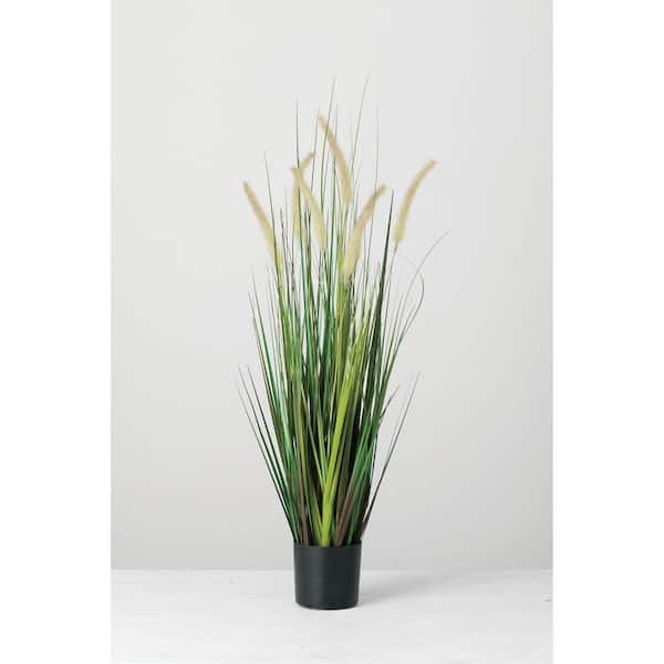 SULLIVANS Artificial 38 in. Potted Dogtail Grass