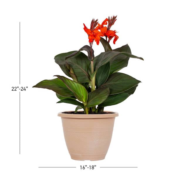 outdoor planter self watering LowRider Self-Watering Planter main image 0