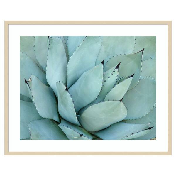 Amanti Art Agave Detail IV by Brittany Evans 1 Piece Framed Giclee Nature Art Print 33 in. x 41 in.