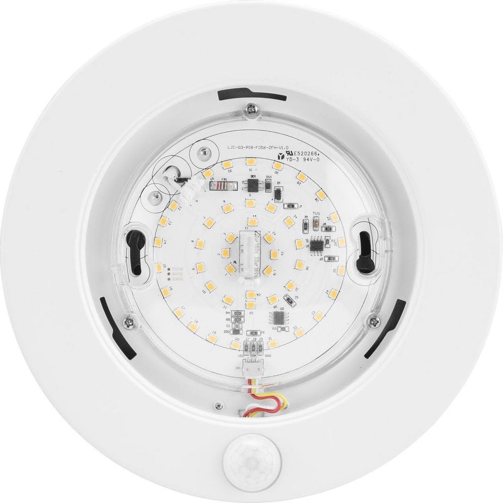 White LED Indoor/Outdoor Drum Flush Mount Light