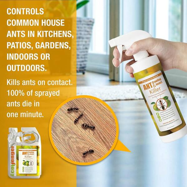 Ant repellent discount