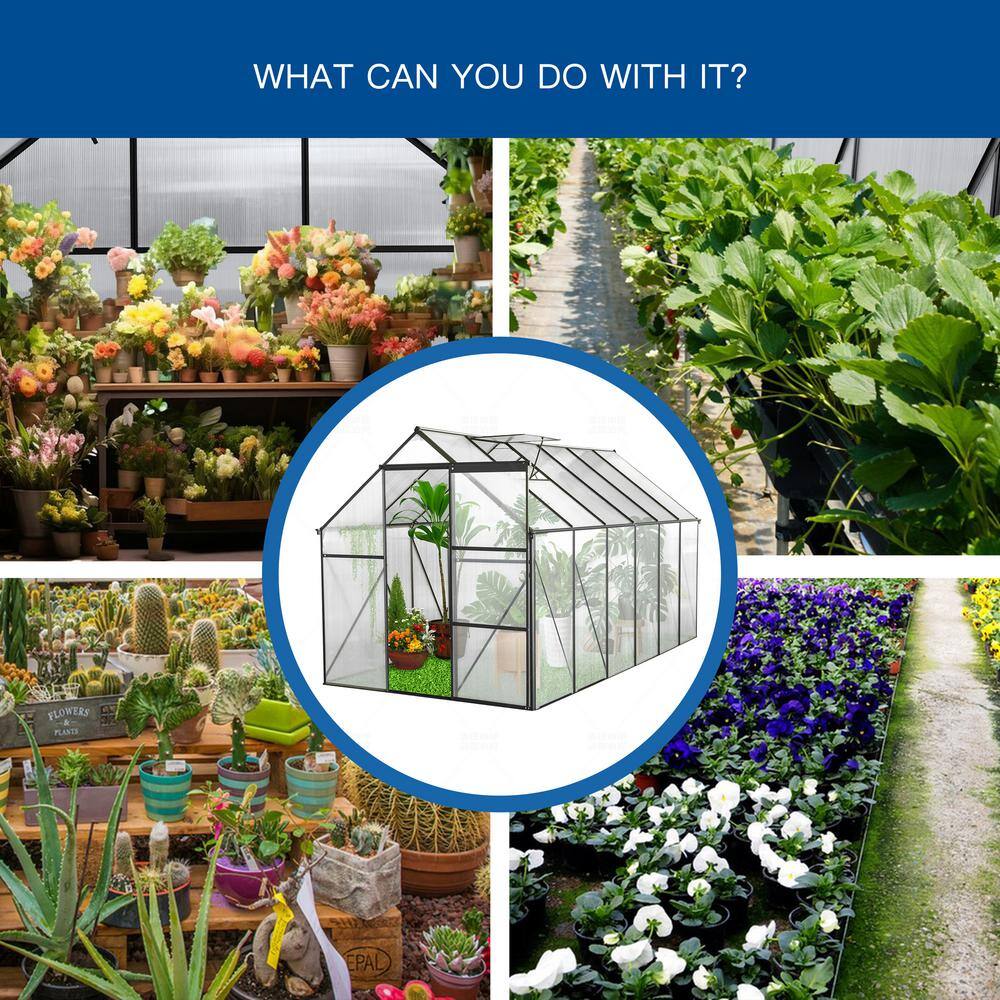 Black 6x12 FT Polycarbonate Walk-In Greenhouse with Aluminum Frame
