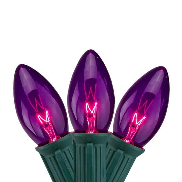 Northlight 12 in. Set of 25 Transparent Purple C9 Christmas Lights Spacing - Green Wire