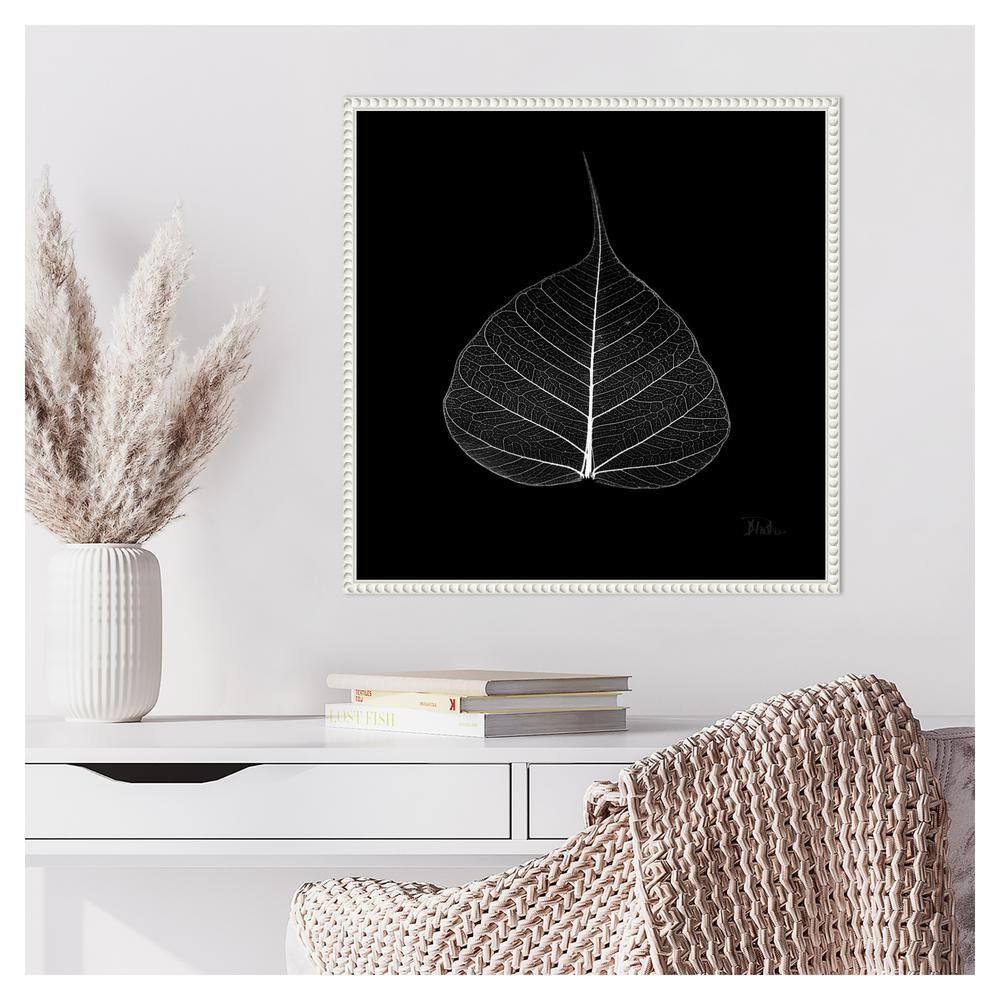 Amanti Art Minimalist Leaf on Black I by Patricia Pinto Canvas Wall Art Print Framed 22 x 22-in.