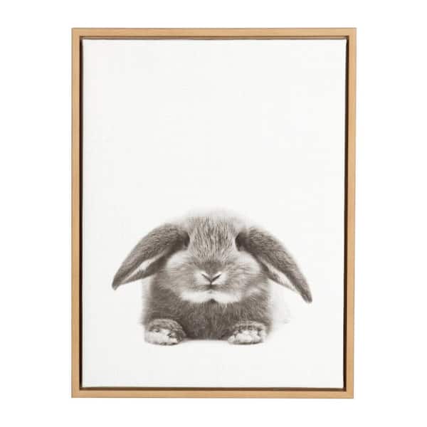 Kate and Laurel 24 in. x 18 in. "Rabbit" by Tai Prints Framed Canvas Wall Art