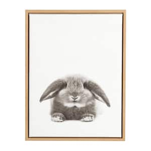 24 in. x 18 in. "Rabbit" by Tai Prints Framed Canvas Wall Art