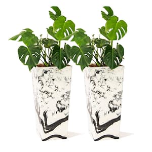 28 in. Tall Modern Square Planter, Tapered Floor Planter for Indoor and Outdoor Decor, Black and White (Set of 2)