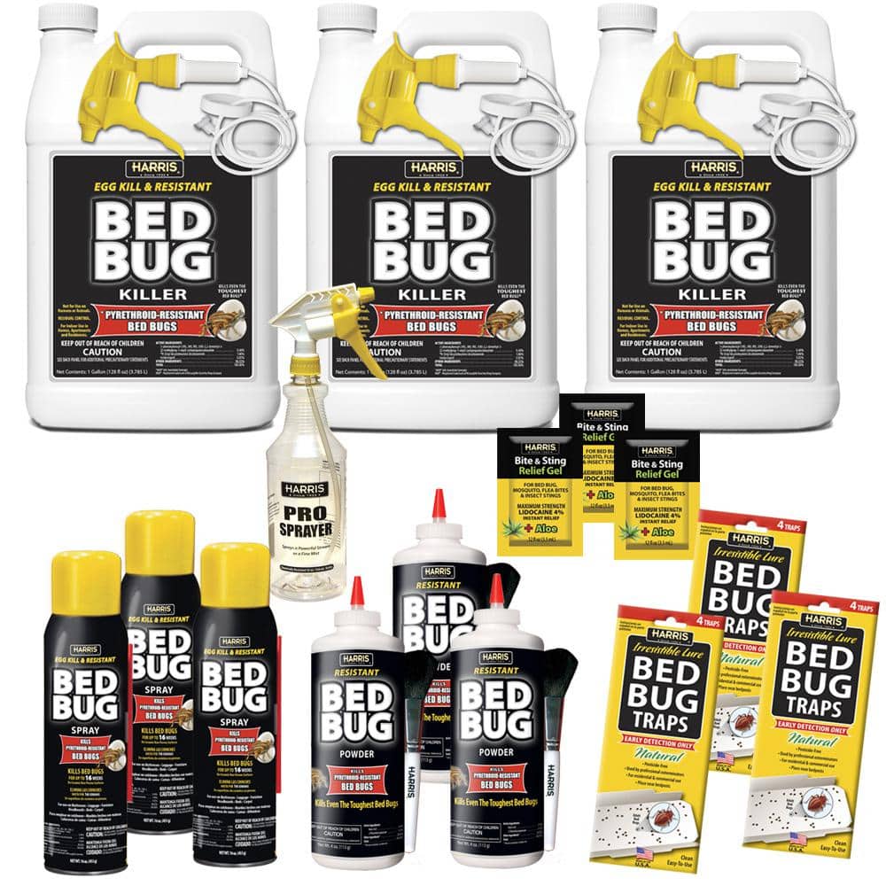 STEP #2: KILL BED BUGS IN YOUR PERSONAL BELONGINGS