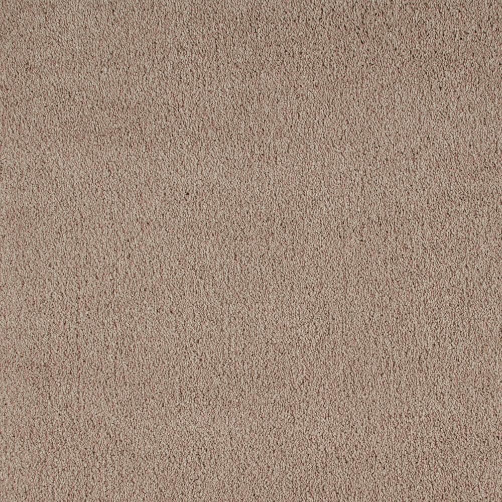 PetProof Northern Hills I Farm Town Beige 39 oz. Triexta Texture Installed  Carpet 0834D-29-12 - The Home Depot