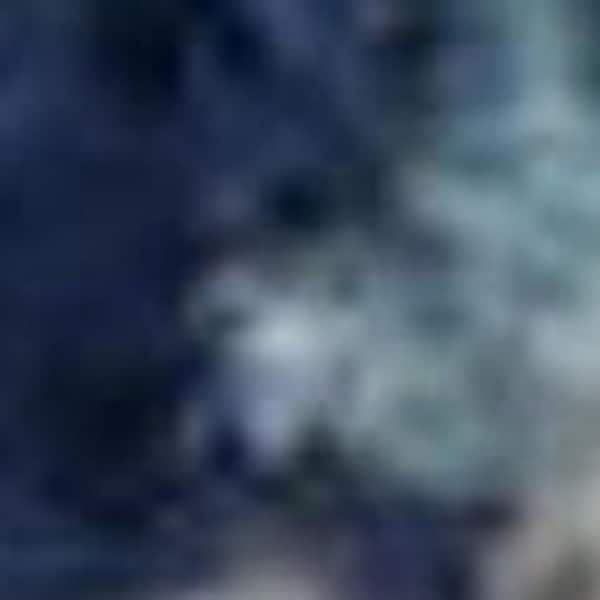 6' X 9' Navy Blue Light Blue and Gray Botanical Leaves Area Rug