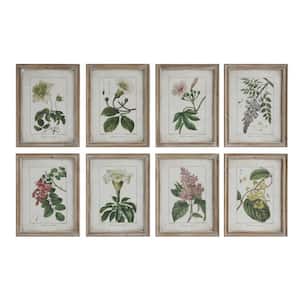 8 Piece Framed Botanical Graphic Print Nature Art Print 18 in. x 13.75 in.