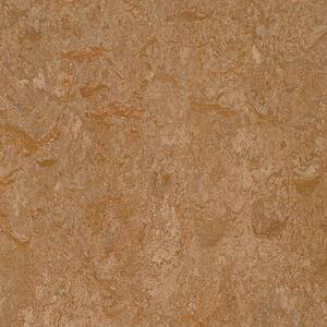 Shitake 9.8 mm Thick x 11.81 in. Wide x 35.43 in. Length Laminate Flooring (20.34 sq. ft./Case)