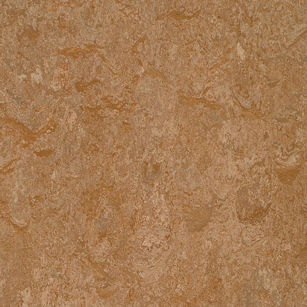Marmoleum Cinch Loc Seal Shitake 9.8 mm Thick x 11.81 in. Wide X 35.43 in. Length Laminate Floor Tile (20.34 sq. ft/Case)