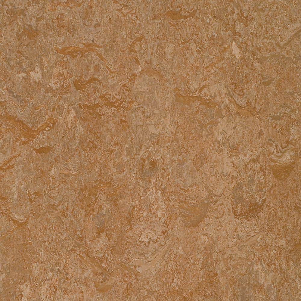 Marmoleum Cinch Loc Seal Shitake 9.8 mm Thick x 11.81 in. Wide X 11.81 in. Length Laminate Floor Tile (6.78 sq. ft/Case), Medium -  184865