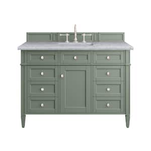 Brittany 48.0 in. W x 23.5 in. D x 33.8 in. H Bathroom Vanity in Smokey Celadon with Carrara Marble Marble Top