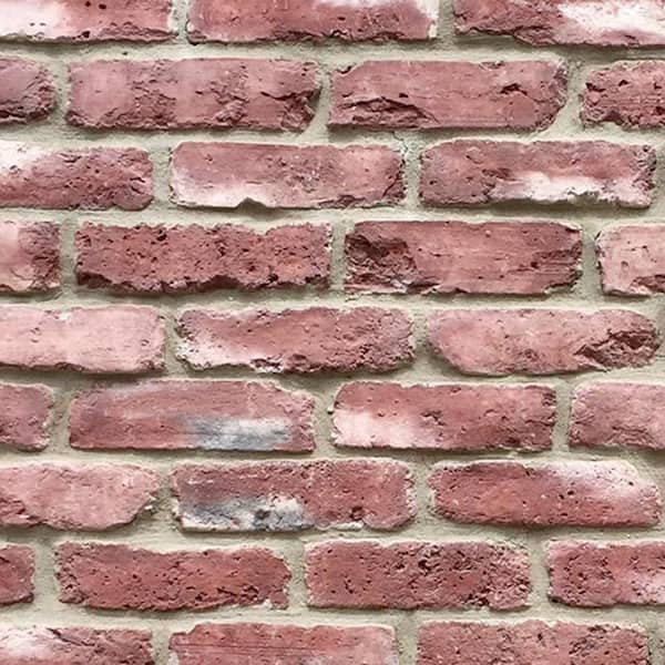 Koni Brick Old Chicago Vino 8.20 in. x 2.50 in. Thin Brick 10.76 sq. ft. Flats Manufactured Stone Siding