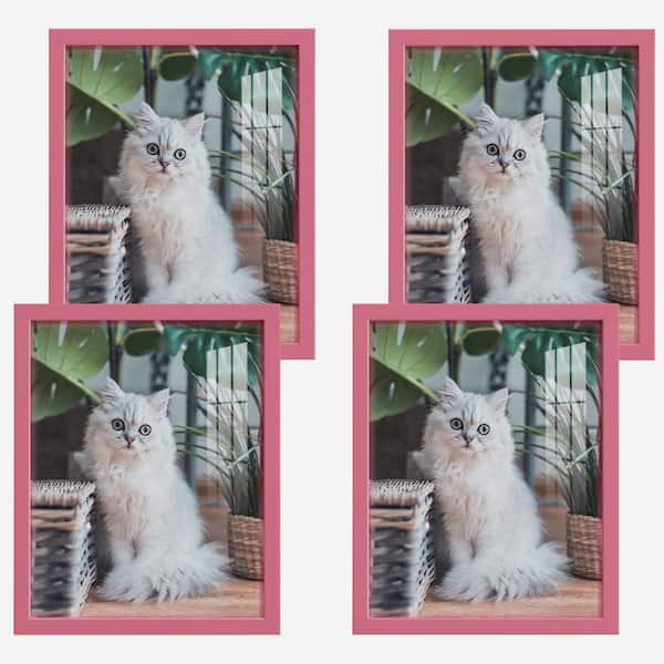 Wexford Home Modern 11 in. x 14 in. Hot Pink Picture Frame (Set of 4)