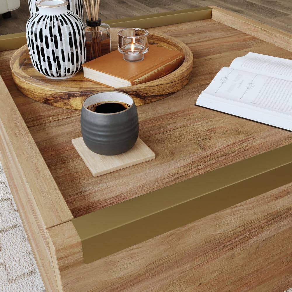 Sindoori Mango Modern Square Coffee Table with Storage