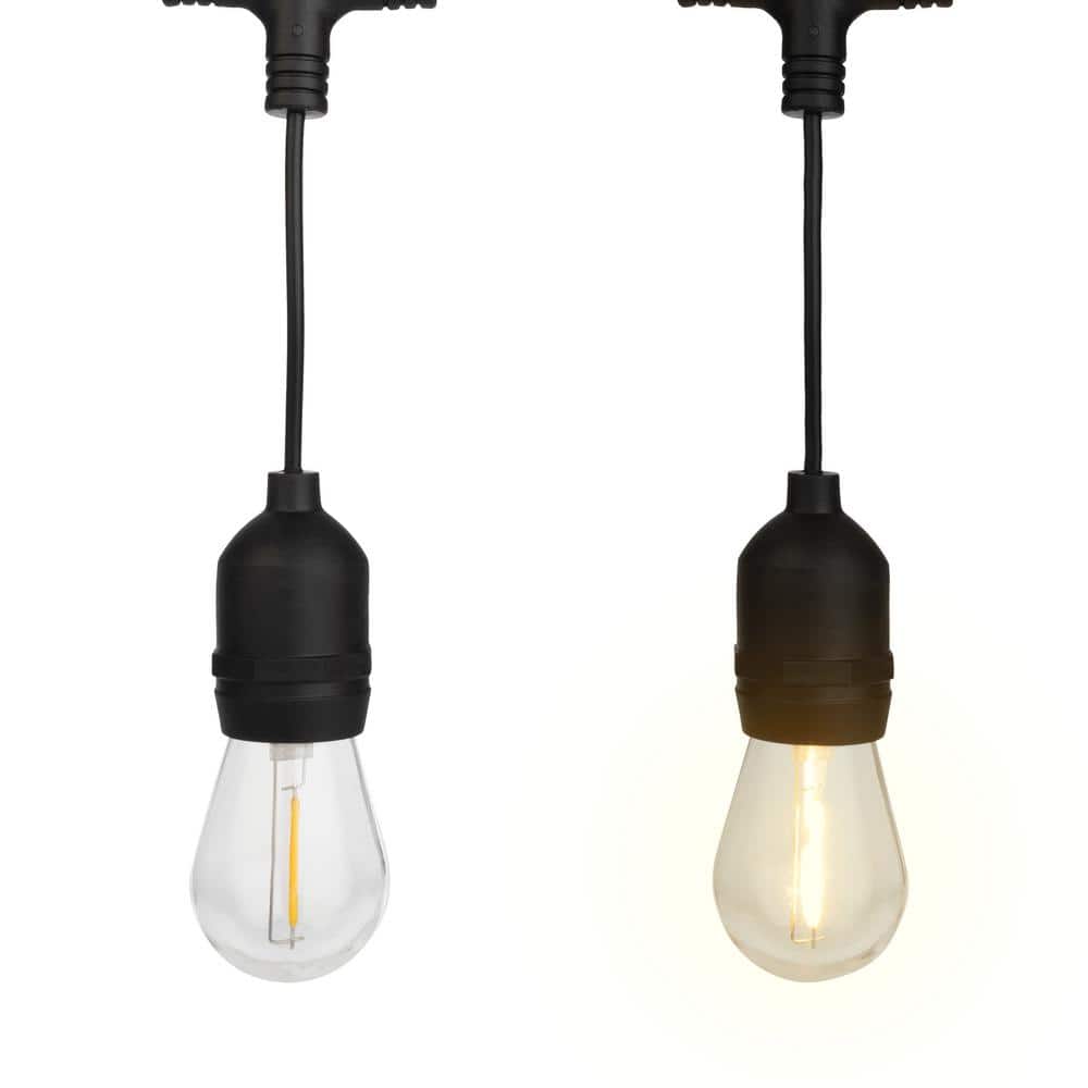 Warm White 40ft Outdoor LED Edison Bulb String Lights