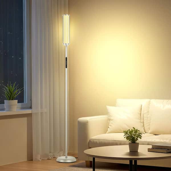 66 in. Silver-Gray Integrated LED Net-like Ambient Light RGB Standard Floor Lamp with Bluetooth Control
