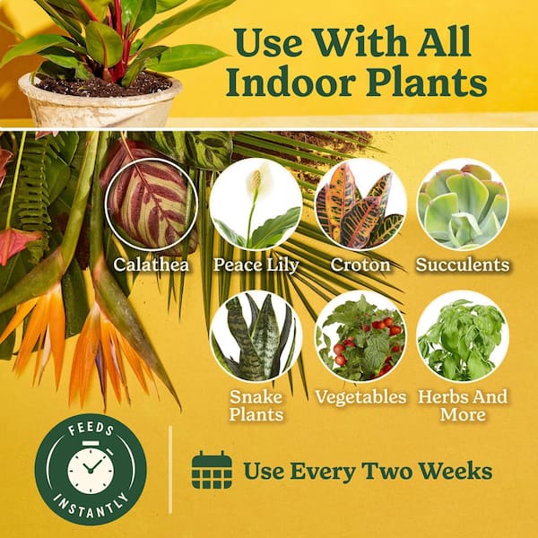 Indoor Plant Food for All Plants 8 fl. oz. Liquid Plant Food for Houseplants, Flowers, Vegetables, Herbs, and More
