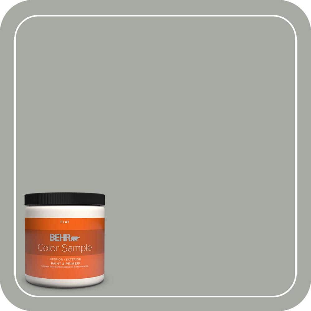 8 oz. #ECC-35-1 Silver Clouds Flat Interior/Exterior Paint & Primer Color Sample price history on PriceWatchPro