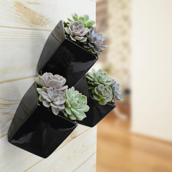 Cube 3 1/2 in. x 4 in. Black Ceramic Wall Planter