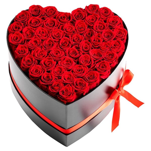 50 Preserved Roses in a Heart-Shaped Box, 6.5 in. Red Indoor Artificial Rose in Black Basket Container, Long-Lasting