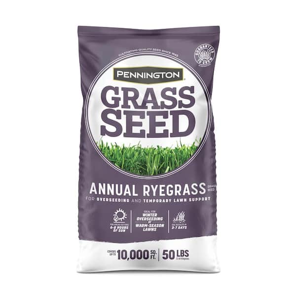 Pennington-50-lbs-Annual-Ryegrass-Grass-Seed-product-image.jpg