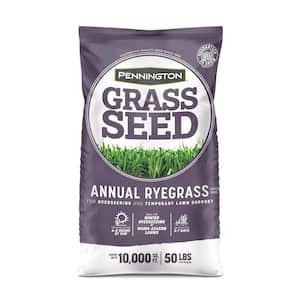 Annual Ryegrass 50 lb. 10,000 sq. ft. Grass Seed