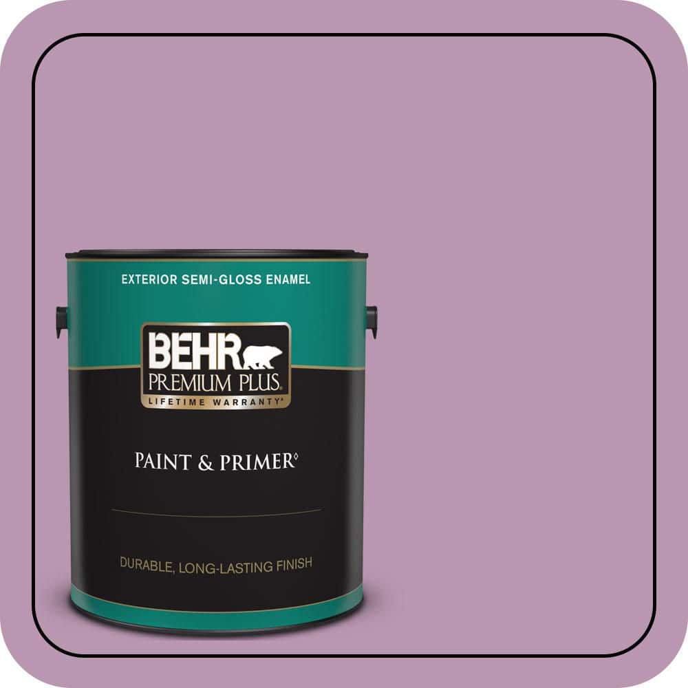 1 gal. #M110-4 Cherished Semi-Gloss Enamel Exterior Paint & Primer price history on PriceWatchPro