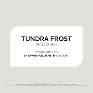 Tundra Frost PPG1009-1 Paint - Comparable to SHERWIN WILLIAMS' Fleur De Sel