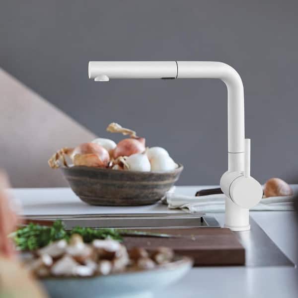 Blanco Linus Single-Handle Pull Out Sprayer Kitchen Faucet in