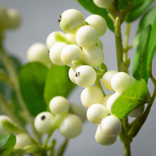 White Berry Stem - 28