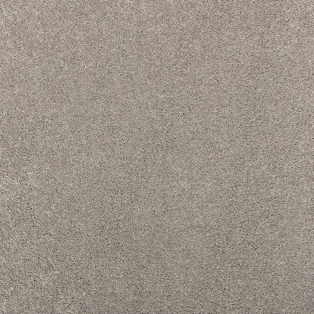 8 in. x 8 in. Texture Carpet Sample - Plush Dreams I -Color Tender price history on PriceWatchPro