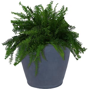 Anjelica 24 in. Slate Single Outdoor Resin Flower Pot Planter - Dark Grey