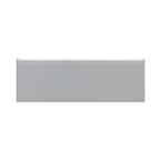 Daltile LuxeCraft Allure 3 in. x 12 in. Glazed Ceramic Wall Tile (12 sq ...