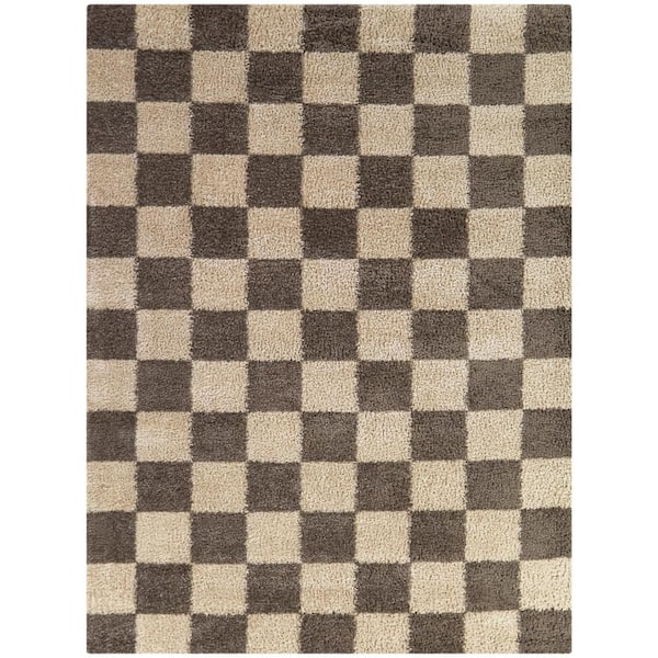 StyleWell Harley Brown 4 ft. 4 in. x 6 ft. Checkered Area Rug