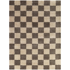 Harley Brown 7 ft. 10 in. x 9 ft. 10 in. Checkered Area Rug