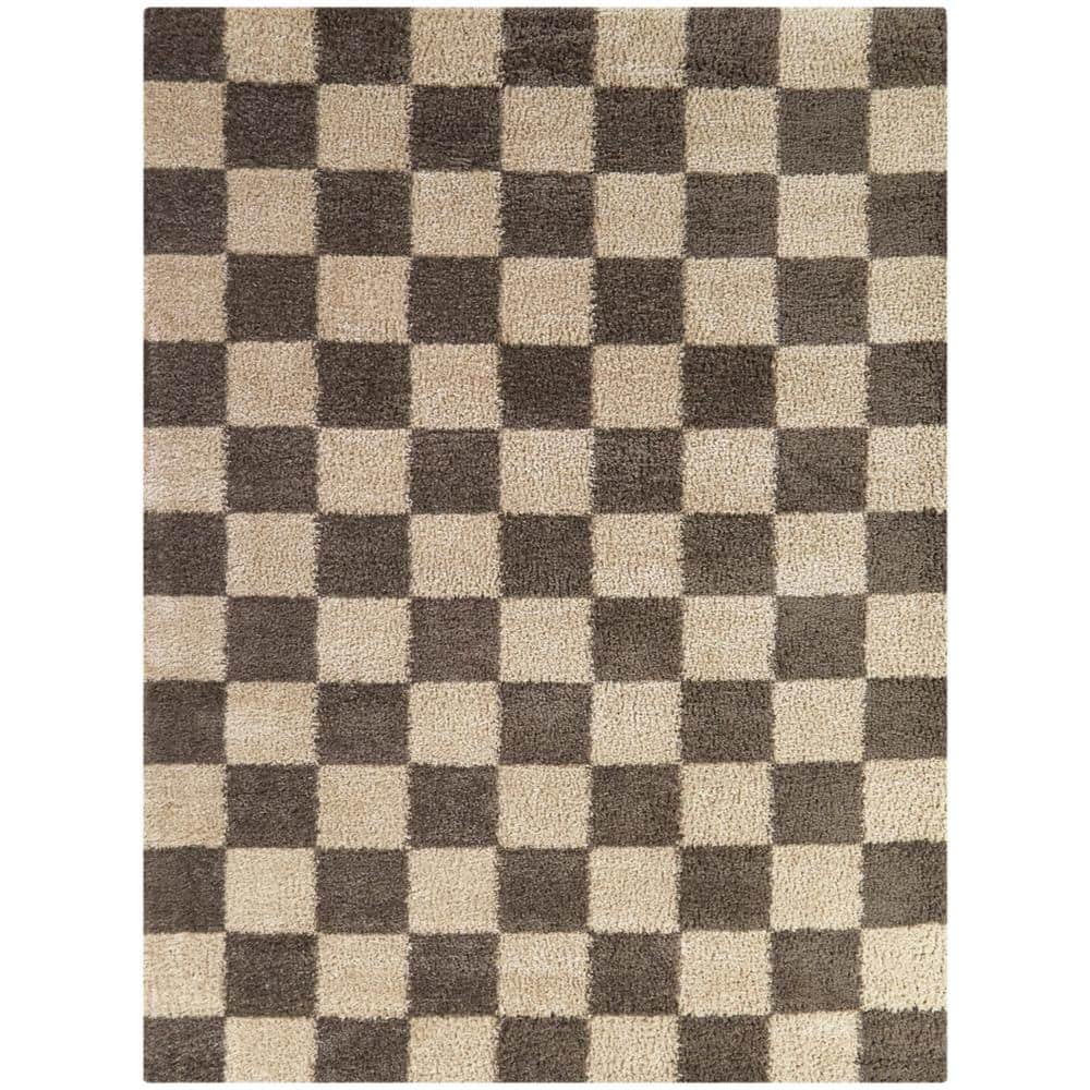 Harley Brown 8 ft. 9 in. x 12 ft. Checkered Area Rug price history on PriceWatchPro