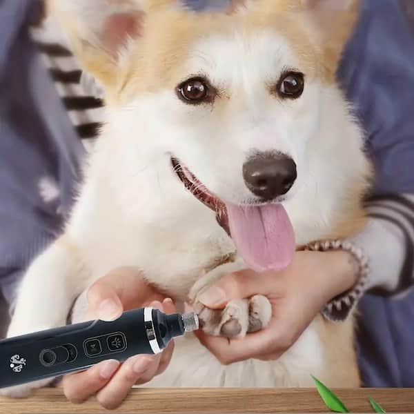Dog Nail Grinder Upgraded 2 Speeds Quiet Electric Rechargeable Pet Nail  Trimmer | eBay