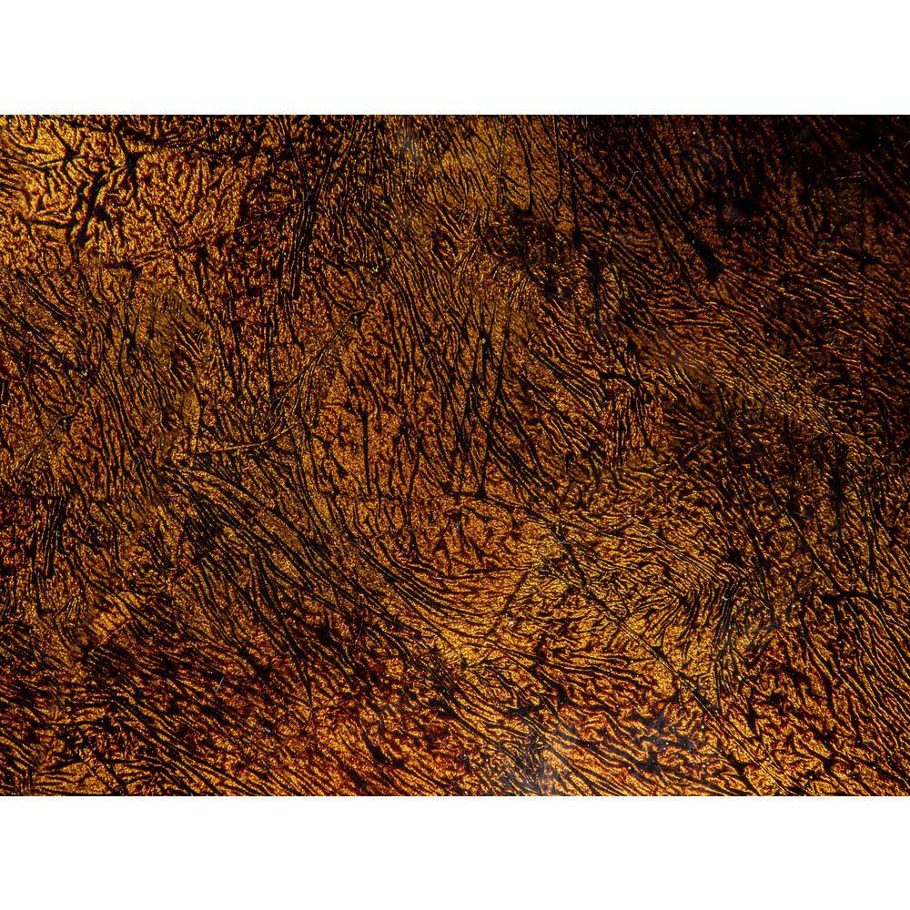 Eden Brown and Gold Tempered Glass Vessel Sink