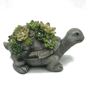 Solar Powered Turtle 5-Light 7.6 in. Integrated LED with Colorful Succulents