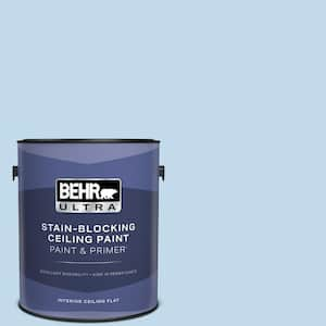 1 gal. #M520-2 After Rain Ceiling Flat Interior Paint and Primer