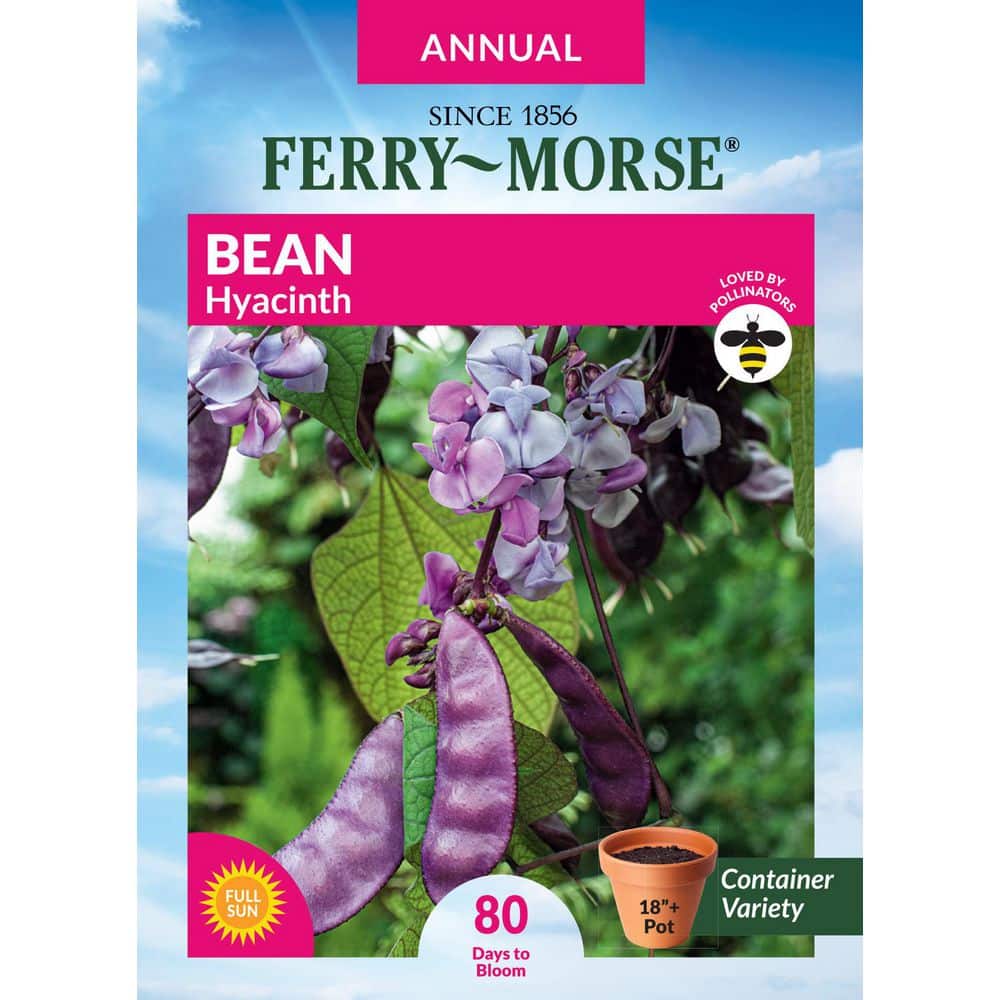 ferry-morse-flower-seeds-5818-
