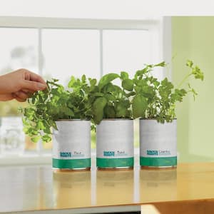 Basil/Cilantro/Mint Grow Kit Herb Garden (3-Pack)