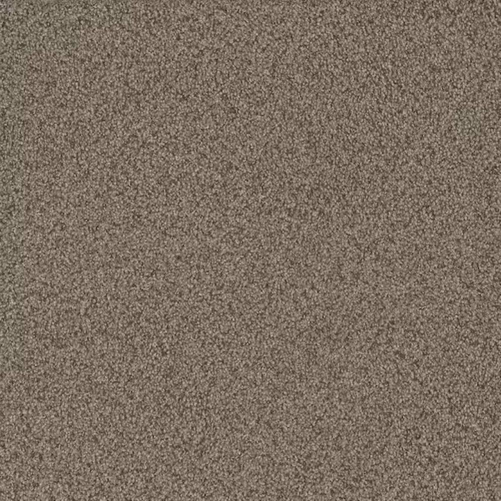 8 in. x 8 in. Texture Carpet Sample-Meringue II-Color Toasted price history on PriceWatchPro