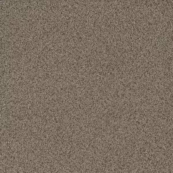 8 in. x 8 in. Texture Carpet Sample-Meringue II-Color Toasted